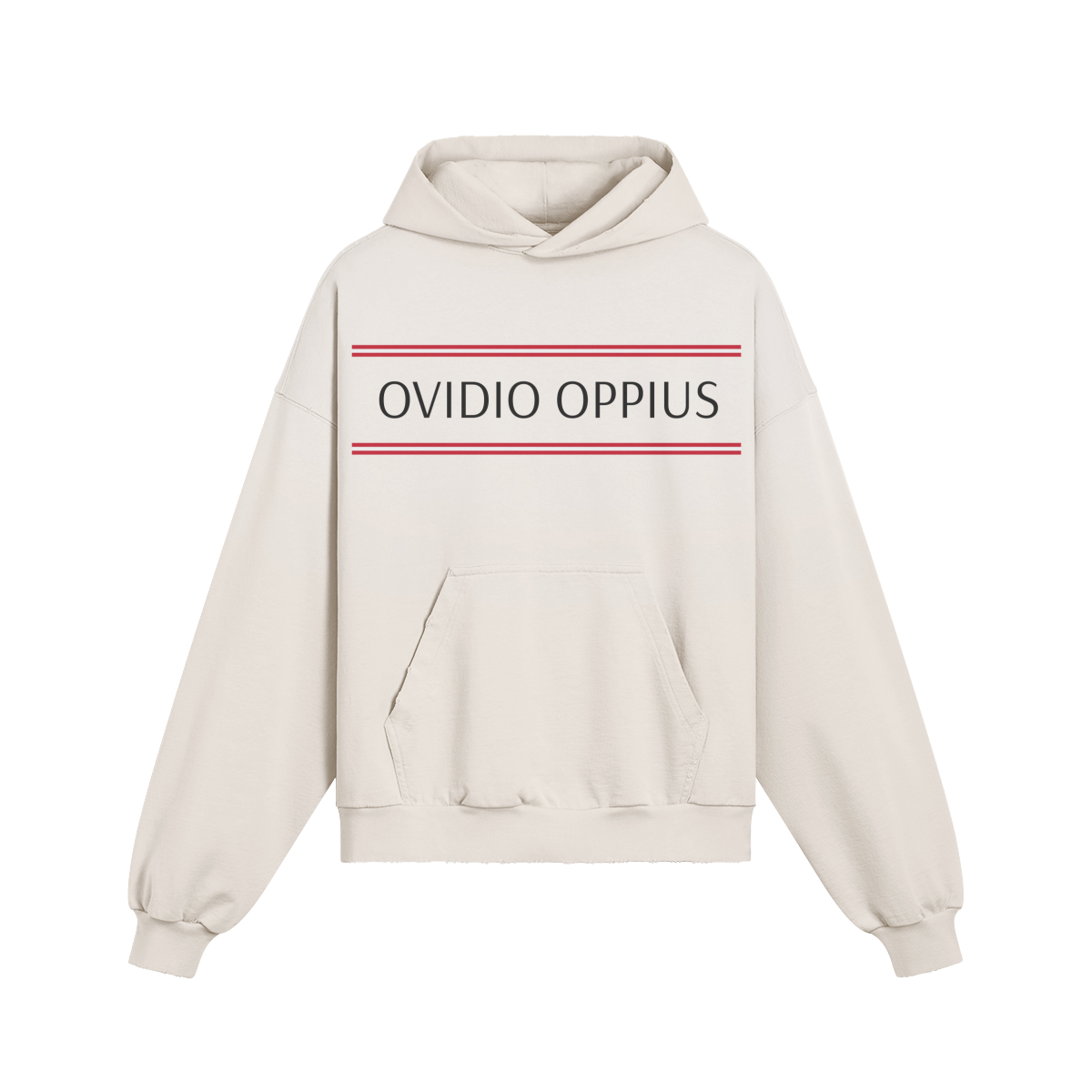 Ovidio Distressed Hoodie
